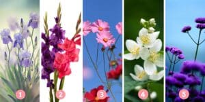 Test della personalità: Quale dei 5 fiori rivela il segreto del tuo pieno potenziale? Scegli e scopri se stai vivendo al massimo!
