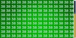 Sfida visiva: metti alla prova la tua abilità di osservazione e trova l'intruso nascosto tra i numeri 38 in meno di 10 secondi!