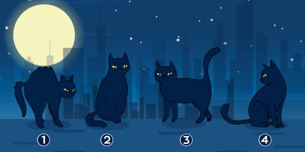 Test della personalità: Quale dei 4 gatti misteriosi incarna la tua missione di vita? Scopritelo ora!