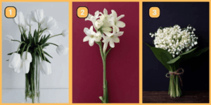 Test della personalità: Tra questi 3 fiori bianchi si cela il tuo spirito! Sei più conservatore o avventuroso? Scopri la tua natura scegliendo un fiore!