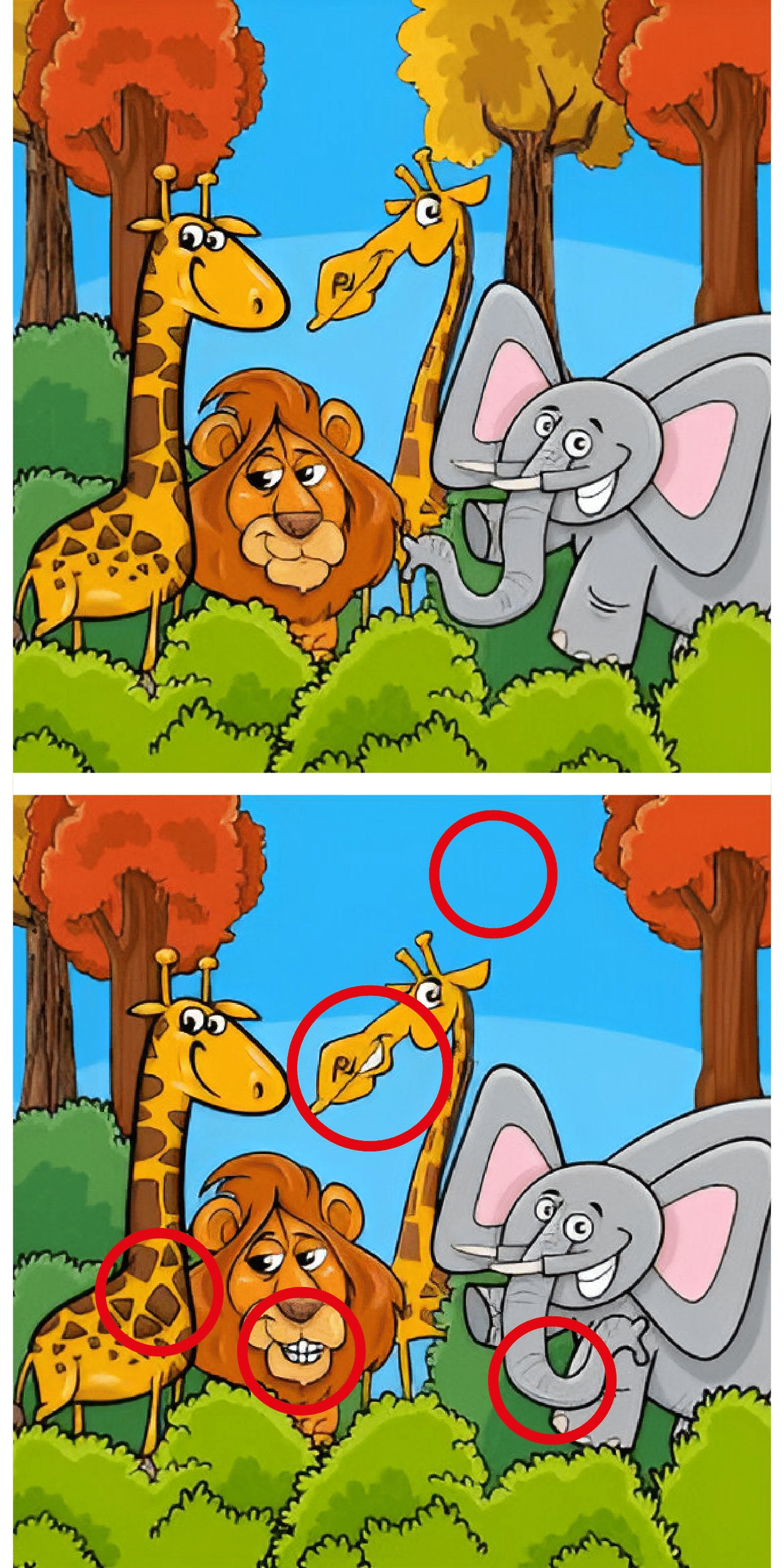 Sfida visiva: riesci a scovare le 5 differenze nascoste tra queste due immagini di animali selvaggi?